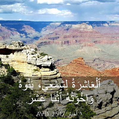 Picture 03 - ١ أخبار 25:17 AVD - ٱلْعَاشِرَةُ لِشِمْعِي، - Bible Verse Picture