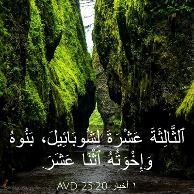 Picture 03 - ١ أخبار 25:20 AVD - ٱلثَّالِثَةَ عَشْرَةَ - Bible Verse Picture