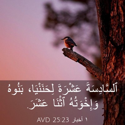 Picture 03 - ١ أخبار 25:23 AVD - ٱلسَّادِسَةَ عَشْرَةَ - Bible Verse Picture