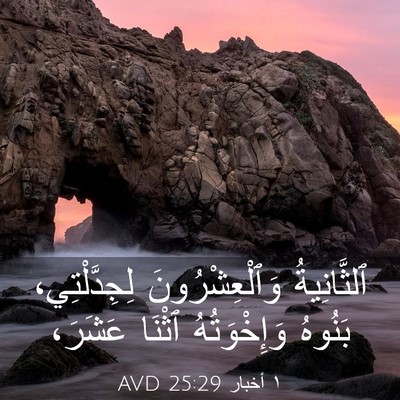 Picture 03 - ١ أخبار 25:29 AVD - ٱلثَّانِيةُ - Bible Verse Picture