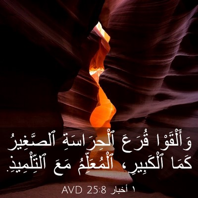Picture 03 - ١ أخبار 25:8 AVD - وَأَلْقَوْا قُرَعَ - Bible Verse Picture