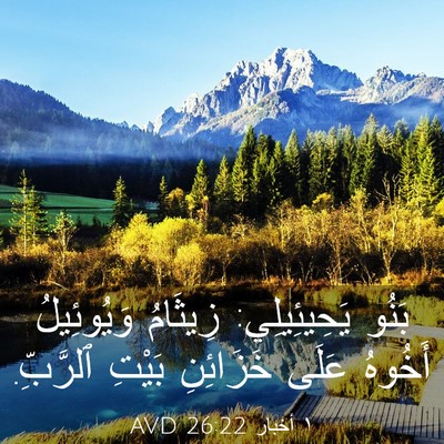 Picture 03 - ١ أخبار 26:22 AVD - بَنُو يَحِيئِيلِي: - Bible Verse Picture