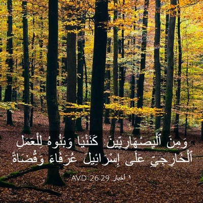 Picture 03 - ١ أخبار 26:29 AVD - وَمِنَ - Bible Verse Picture