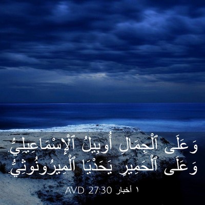 Picture 03 - ١ أخبار 27:30 AVD - وَعَلَى ٱلْجِمَالِ - Bible Verse Picture