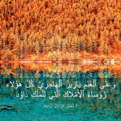Picture 03 - ١ أخبار 27:31 AVD - وَعَلَى ٱلْغَنَمِ - Bible Verse Picture