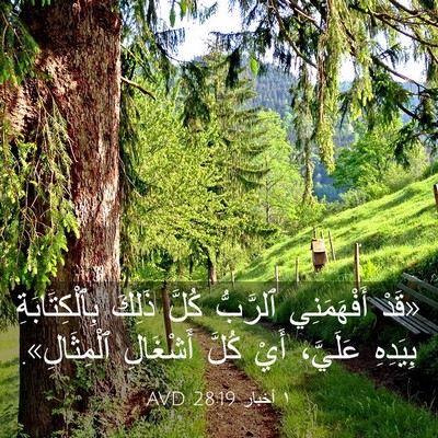 Picture 03 - ١ أخبار 28:19 AVD - «قَدْ أَفْهَمَنِي - Bible Verse Picture
