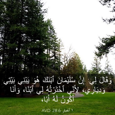 Picture 03 - ١ أخبار 28:6 AVD - وَقَالَ لِي: إِنَّ - Bible Verse Picture