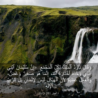 Picture 03 - ١ أخبار 29:1 AVD - وَقَالَ دَاوُدُ ٱلْمَلِكُ - Bible Verse Picture
