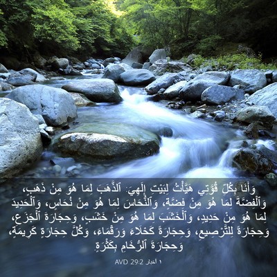 Picture 03 - ١ أخبار 29:2 AVD - وَأَنَا بِكُلِّ قُوَّتِي - Bible Verse Picture