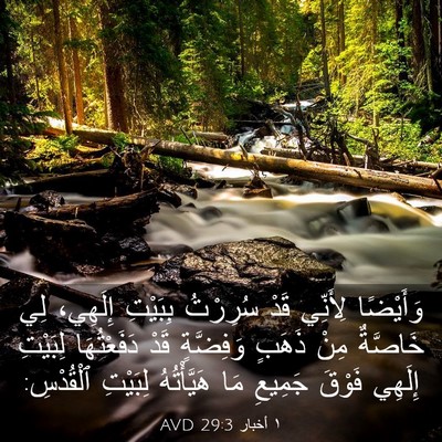 Picture 03 - ١ أخبار 29:3 AVD - وَأَيْضًا لِأَنِّي قَدْ - Bible Verse Picture