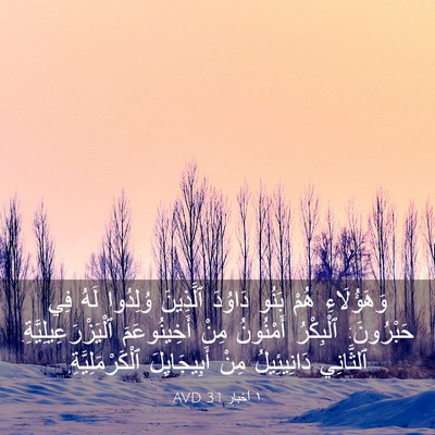 Picture 03 - ١ أخبار 3:1 AVD - وَهَؤُلَاءِ هُمْ بَنُو - Bible Verse Picture