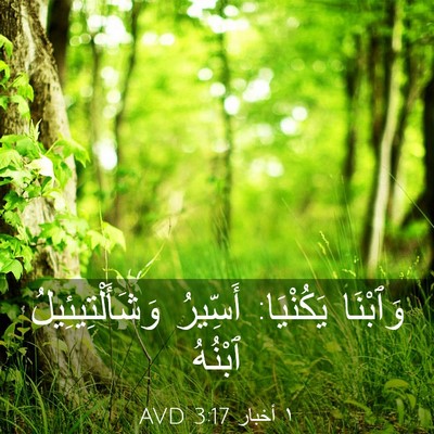 Picture 03 - ١ أخبار 3:17 AVD - وَٱبْنَا يَكُنْيَا: - Bible Verse Picture