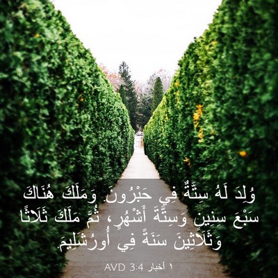 Picture 03 - ١ أخبار 3:4 AVD - وُلِدَ لَهُ سِتَّةٌ فِي - Bible Verse Picture
