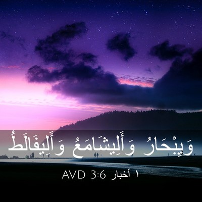 Picture 03 - ١ أخبار 3:6 AVD - وَيِبْحَارُ - Bible Verse Picture