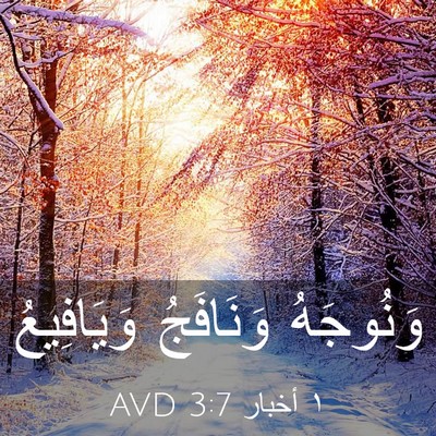 Picture 03 - ١ أخبار 3:7 AVD - وَنُوجَهُ وَنَافَجُ - Bible Verse Picture