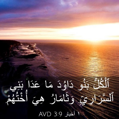 Picture 03 - ١ أخبار 3:9 AVD - ٱلْكُلُّ بَنُو دَاوُدَ مَا - Bible Verse Picture