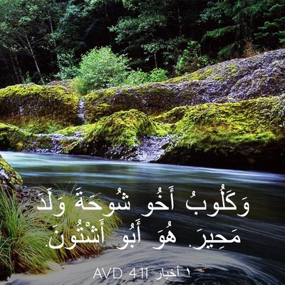 Picture 03 - ١ أخبار 4:11 AVD - وَكَلُوبُ أَخُو شُوحَةَ - Bible Verse Picture