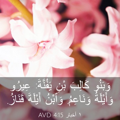 Picture 03 - ١ أخبار 4:15 AVD - وَبَنُو كَالِبَ بْنِ - Bible Verse Picture