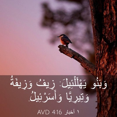 Picture 03 - ١ أخبار 4:16 AVD - وَبَنُو يَهْلَلْئِيلَ: - Bible Verse Picture