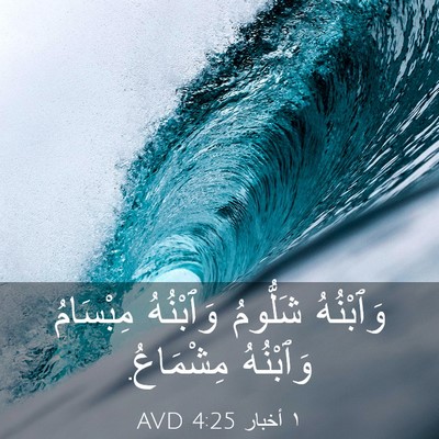 Picture 03 - ١ أخبار 4:25 AVD - وَٱبْنُهُ شَلُّومُ - Bible Verse Picture