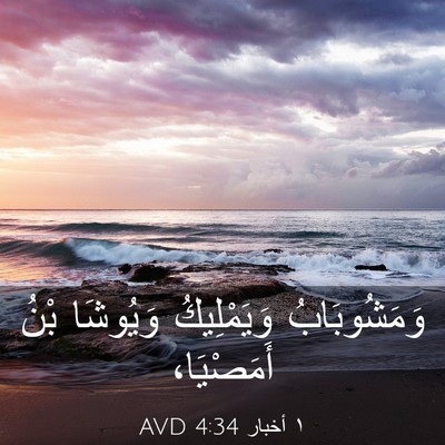 Picture 03 - ١ أخبار 4:34 AVD - وَمَشُوبَابُ وَيَمْلِيكُ - Bible Verse Picture