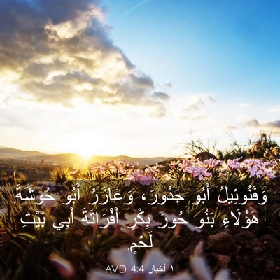 Picture 03 - ١ أخبار 4:4 AVD - وَفَنُوئِيلُ أَبُو - Bible Verse Picture