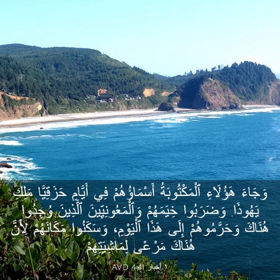 Picture 03 - ١ أخبار 4:41 AVD - وَجَاءَ هَؤُلَاءِ - Bible Verse Picture