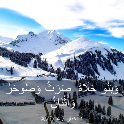 Picture 03 - ١ أخبار 4:7 AVD - وَبَنُو حَلَاةَ: صَرَثُ - Bible Verse Picture