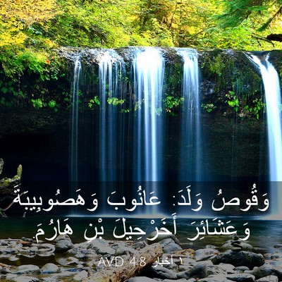 Picture 03 - ١ أخبار 4:8 AVD - وَقُوصُ وَلَدَ: عَانُوبَ - Bible Verse Picture