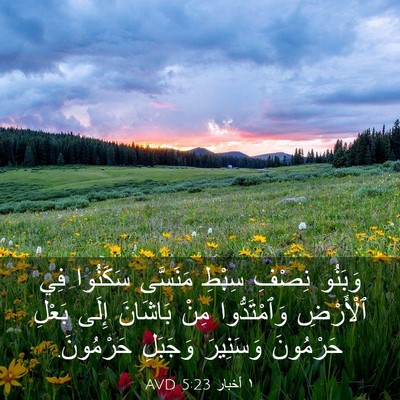 Picture 03 - ١ أخبار 5:23 AVD - وَبَنُو نِصْفِ سِبْطِ - Bible Verse Picture