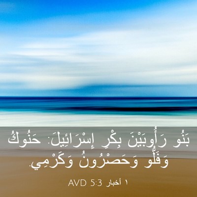 Picture 03 - ١ أخبار 5:3 AVD - بَنُو رَأُوبَيْنَ بِكْرِ - Bible Verse Picture