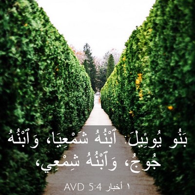 Picture 03 - ١ أخبار 5:4 AVD - بَنُو يُوئِيلَ: ٱبْنُهُ - Bible Verse Picture