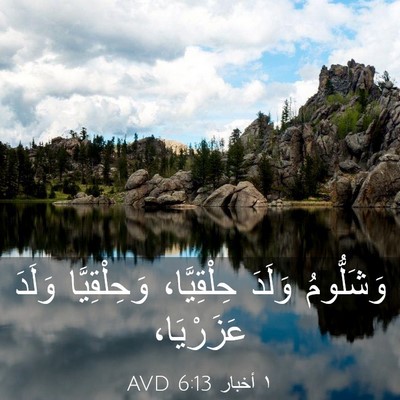 Picture 03 - ١ أخبار 6:13 AVD - وَشَلُّومُ وَلَدَ - Bible Verse Picture