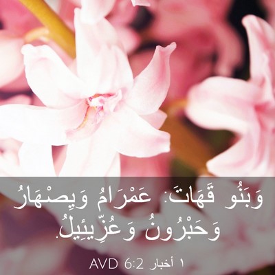 Picture 03 - ١ أخبار 6:2 AVD - وَبَنُو قَهَاتَ: عَمْرَامُ - Bible Verse Picture