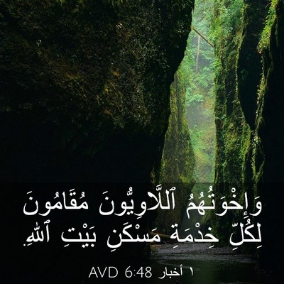 Picture 03 - ١ أخبار 6:48 AVD - وَإِخْوَتُهُمُ - Bible Verse Picture