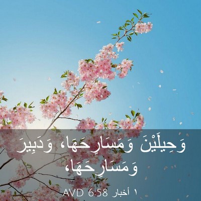 Picture 03 - ١ أخبار 6:58 AVD - وَحِيلَيْنَ - Bible Verse Picture