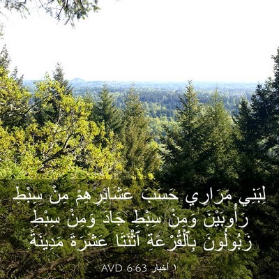 Picture 03 - ١ أخبار 6:63 AVD - لِبَنِي مَرَارِي حَسَبَ - Bible Verse Picture