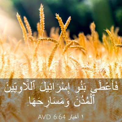 Picture 03 - ١ أخبار 6:64 AVD - فَأَعْطَى بَنُو - Bible Verse Picture