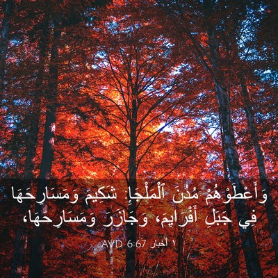 Picture 03 - ١ أخبار 6:67 AVD - وَأَعْطَوْهُمْ مُدُنَ - Bible Verse Picture