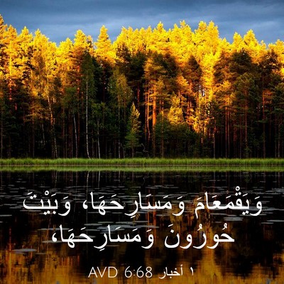 Picture 03 - ١ أخبار 6:68 AVD - وَيَقْمَعَامَ - Bible Verse Picture