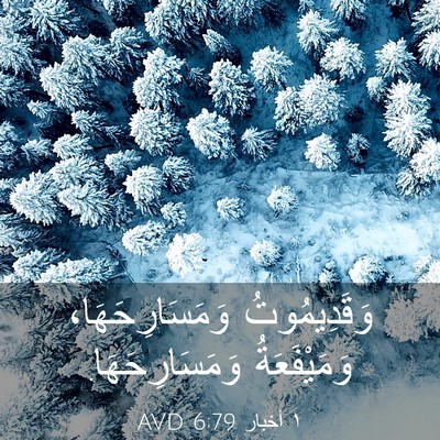 Picture 03 - ١ أخبار 6:79 AVD - وَقَدِيمُوتُ - Bible Verse Picture