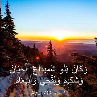 Picture 03 - ١ أخبار 7:19 AVD - وَكَانَ بَنُو شَمِيدَاعَ: - Bible Verse Picture