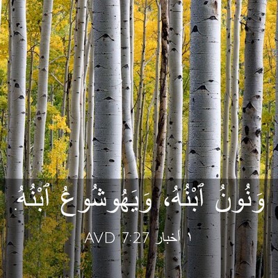 Picture 03 - ١ أخبار 7:27 AVD - وَنُونُ ٱبْنُهُ، - Bible Verse Picture