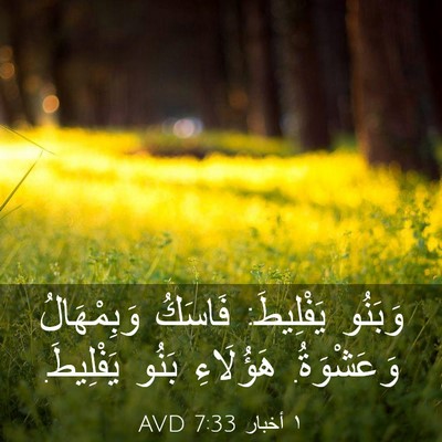 Picture 03 - ١ أخبار 7:33 AVD - وَبَنُو يَفْلِيطَ: فَاسَكُ - Bible Verse Picture