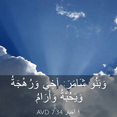 Picture 03 - ١ أخبار 7:34 AVD - وَبَنُو شَامَرَ: آخِي - Bible Verse Picture
