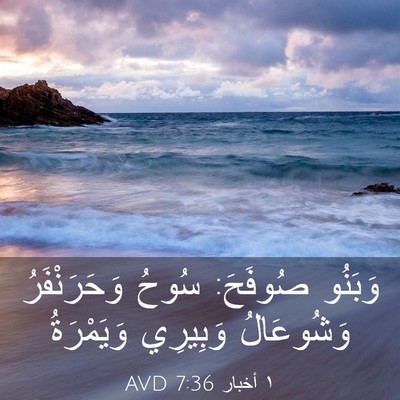 Picture 03 - ١ أخبار 7:36 AVD - وَبَنُو صُوفَحَ: سُوحُ - Bible Verse Picture