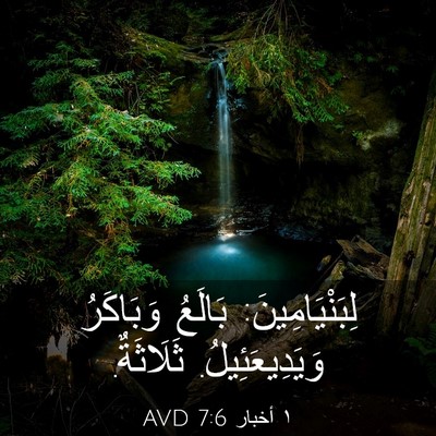 Picture 03 - ١ أخبار 7:6 AVD - لِبَنْيَامِينَ: بَالَعُ - Bible Verse Picture