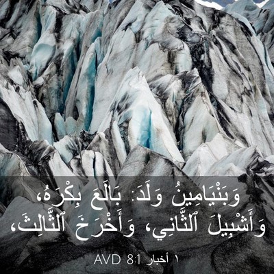 Picture 03 - ١ أخبار 8:1 AVD - وَبَنْيَامِينُ وَلَدَ: - Bible Verse Picture