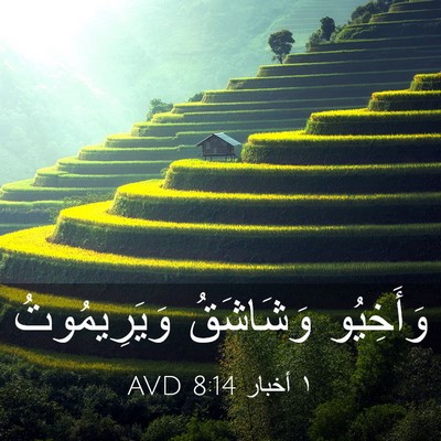 Picture 03 - ١ أخبار 8:14 AVD - وَأَخِيُو وَشَاشَقُ - Bible Verse Picture