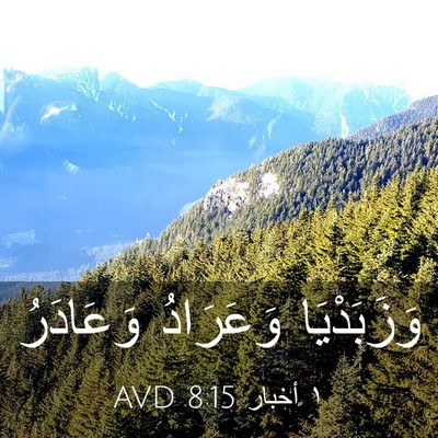 Picture 03 - ١ أخبار 8:15 AVD - وَزَبَدْيَا وَعَرَادُ - Bible Verse Picture